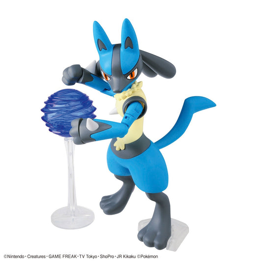Riolu & Lucario