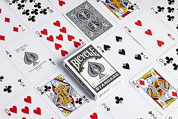 دراجة قياسية - أسود