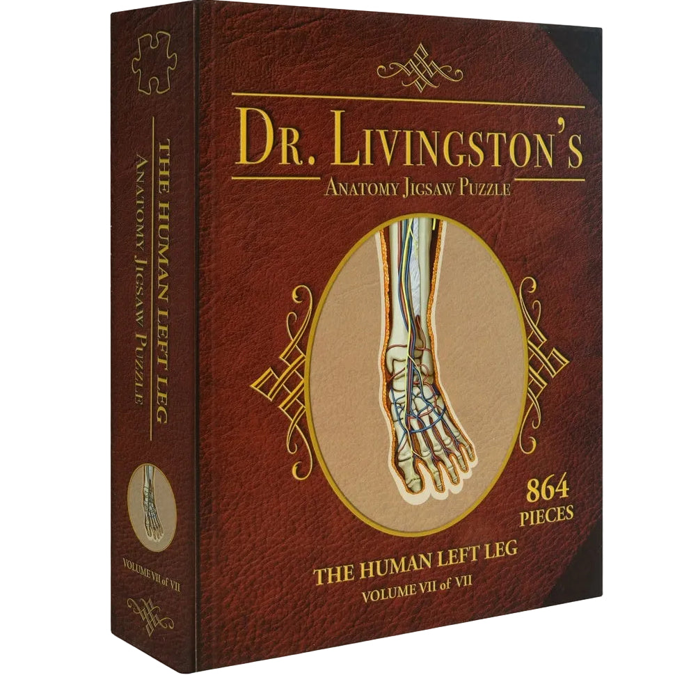 Dr. Livingston's Anatomy - The Left Leg (864 Pieces)