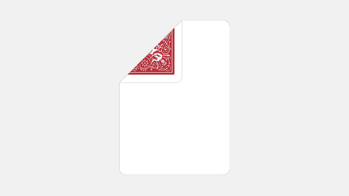 غاف الدراجة