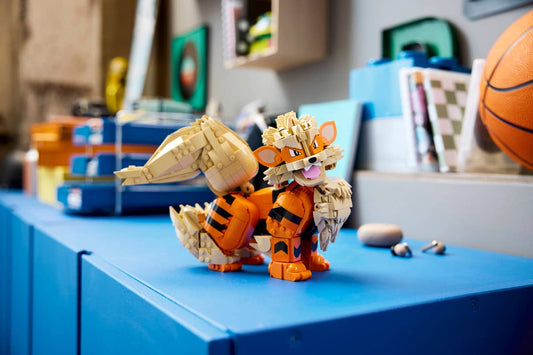 Pokemon - Arcanine