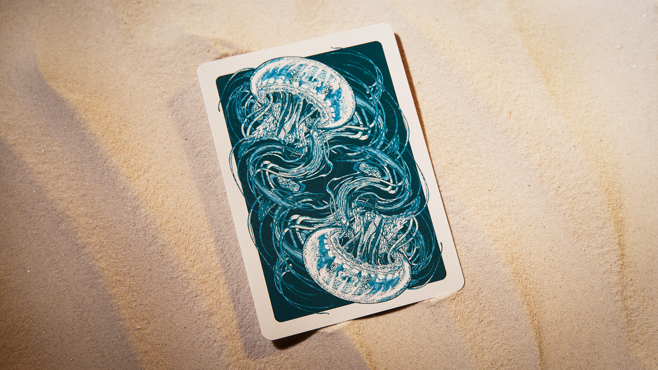 Jellyfish