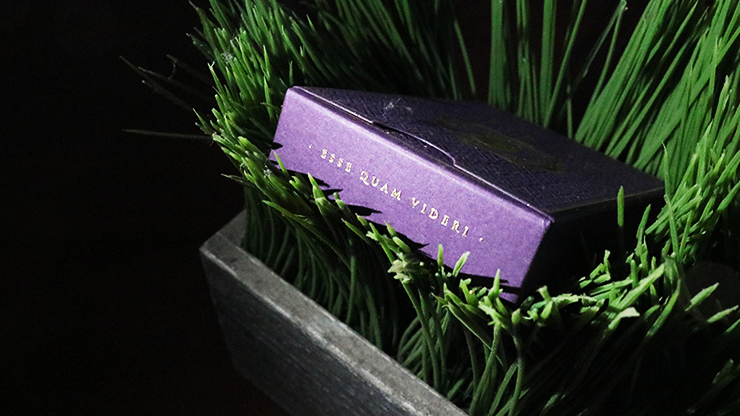 DMC Alpha V3 (Purple) Portcullis