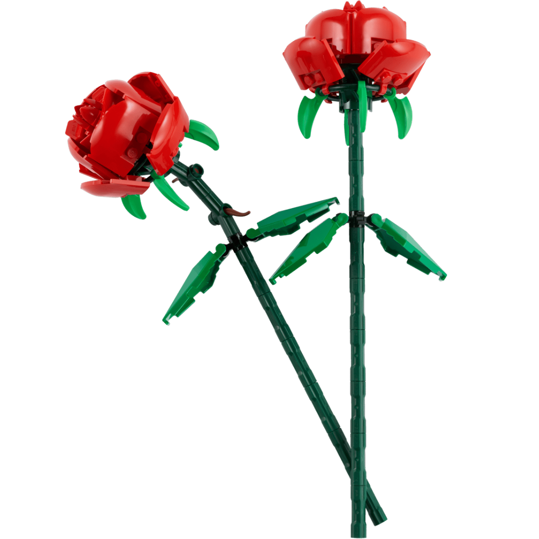 Roses