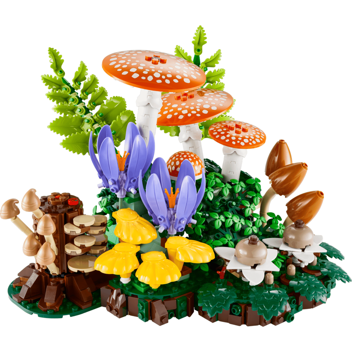 Botanicals Woodland Mushrooms