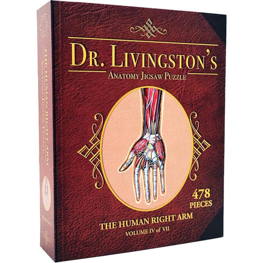 Dr. Livingston's Anatomy - The Human Right Arm (478 Pieces)