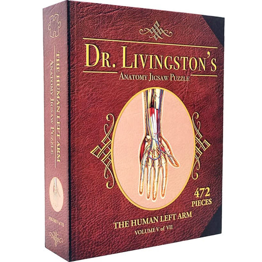 Dr. Livingston's Anatomy - The Human Left Arm (472 Pieces)