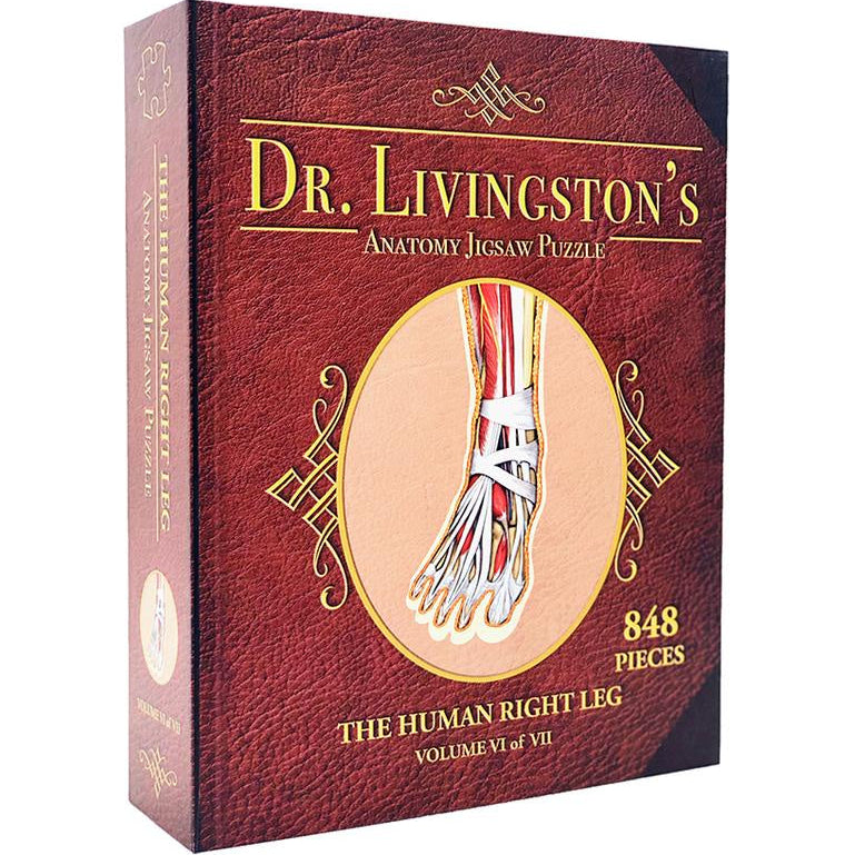 Dr. Livingston's Anatomy - The Right Leg (848 Pieces)