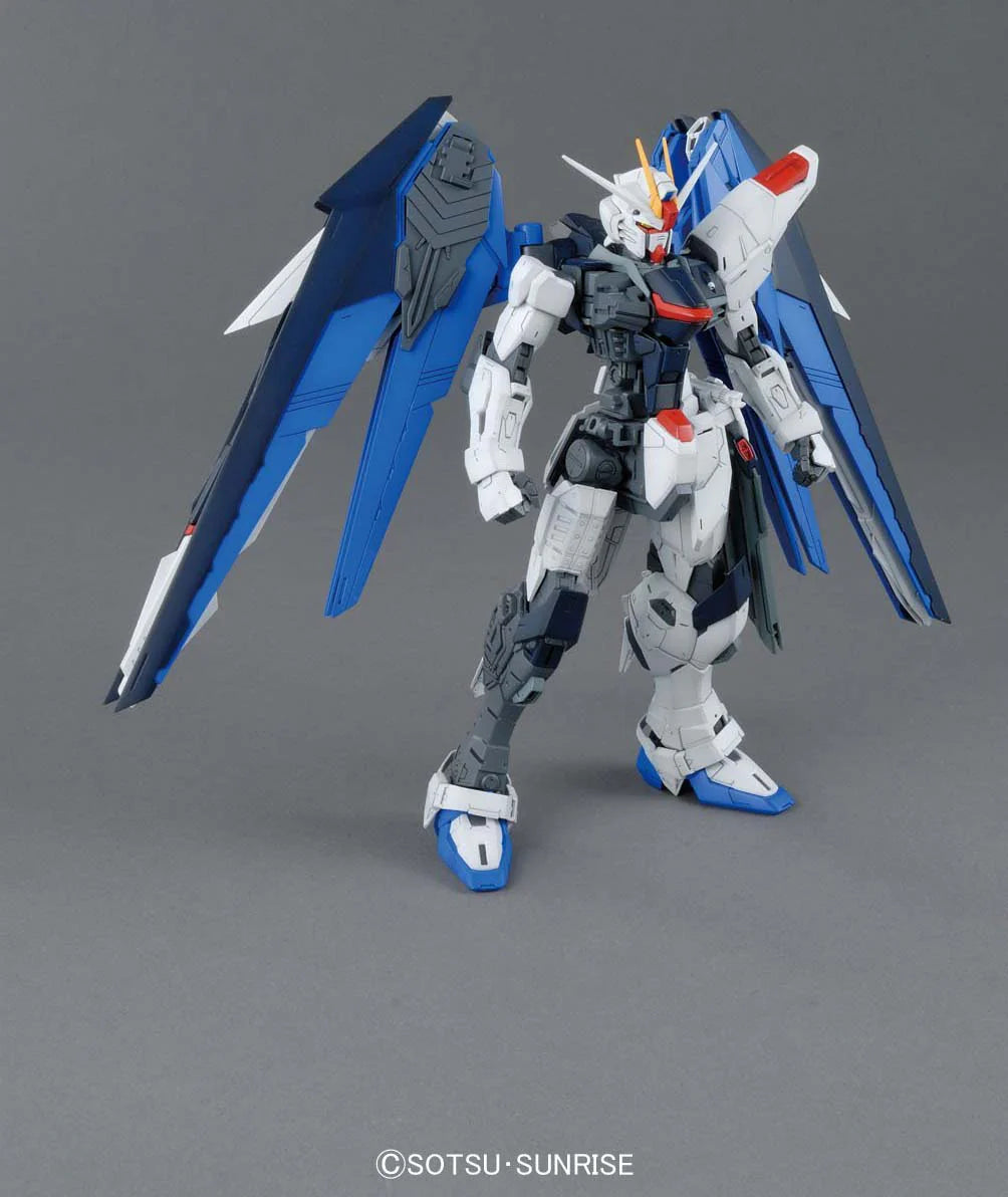 1/100 MG Freedom (Ver.2.0)