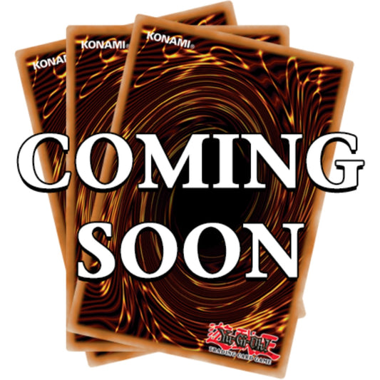 Maze of Muertos - Booster Box (24 packs)